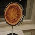 BK_KunstVorarlberg_Forum fu__r aktuelle Kunst 13.jpg