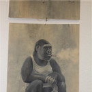 BK_KunstVorarlberg_Forum fu__r aktuelle Kunst 18.jpg