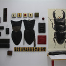 BK_Kunst Palais Liechtenstein 6.JPG