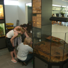 sm_gemeinde_zoofach13_JPG-1272875346