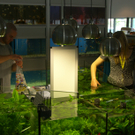 sm_gemeinde_zoofach19_JPG-1272875409