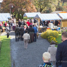20141005_Erntedank_018.jpg