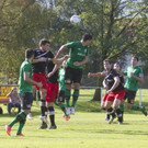 file6hcas65jtg9jmv3ss8.jpg