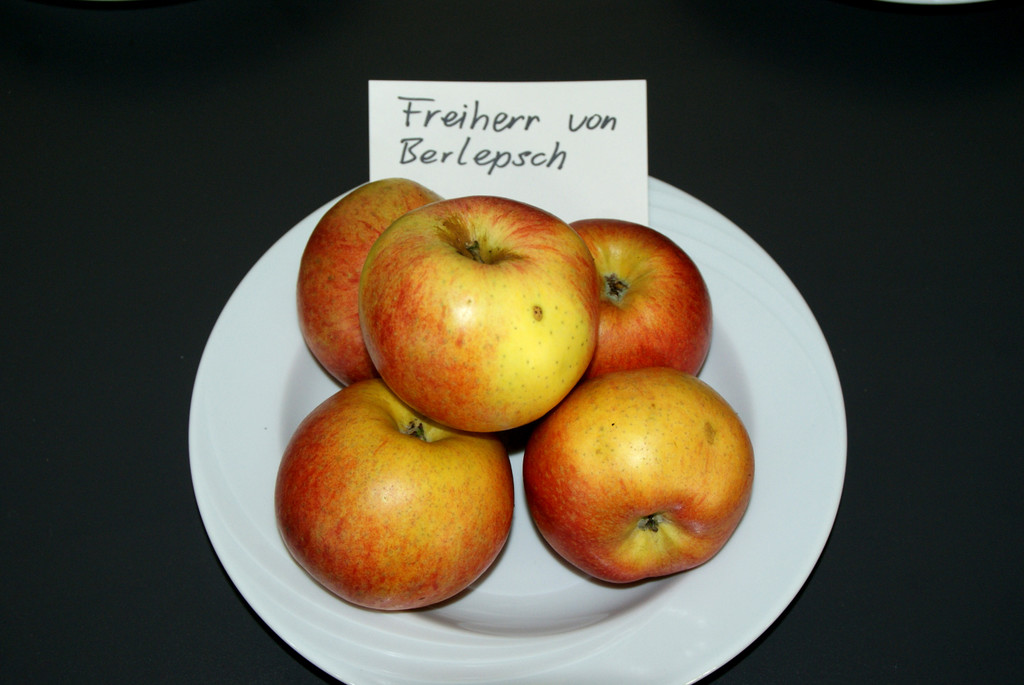 Der Freiherr von Berlepsch.JPG