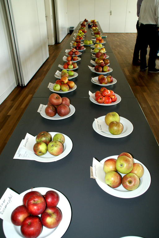 Ein fruchtiger Anblick.JPG