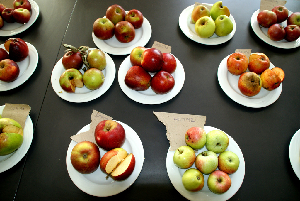 Es konnte ausgiebig probiert werden.JPG