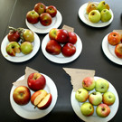 Es konnte ausgiebig probiert werden.JPG