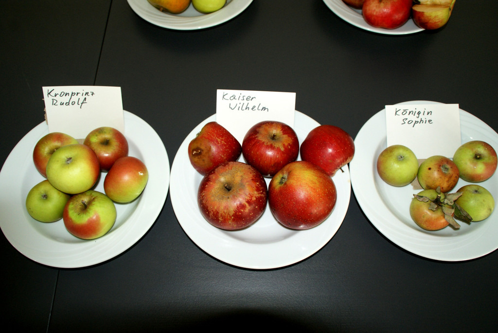 Kronprinz Rudolf_ Kaiser Wilhelm_ K__nigin Sophie.JPG