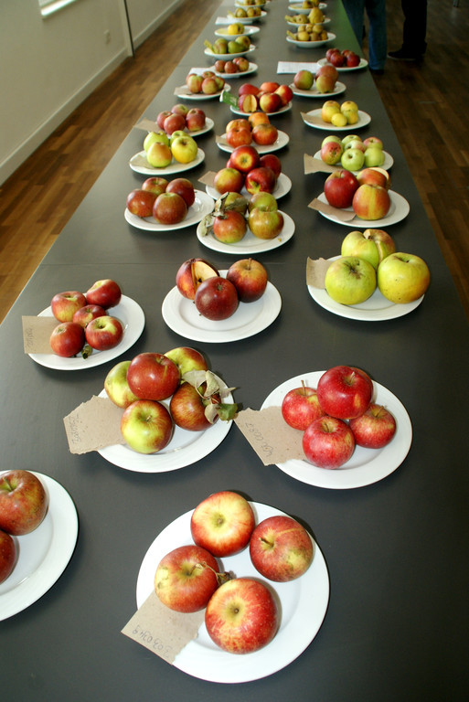 S____e und s__uerliche Verlockung.JPG