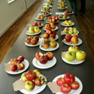 S____e und s__uerliche Verlockung.JPG