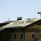 normal_260709hageldanachpd_01.jpg