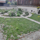 DSC_0119.JPG