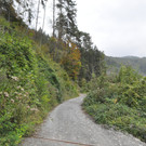 Schindeggweg