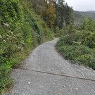 DSC_0082.JPG