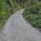 DSC_0087.JPG