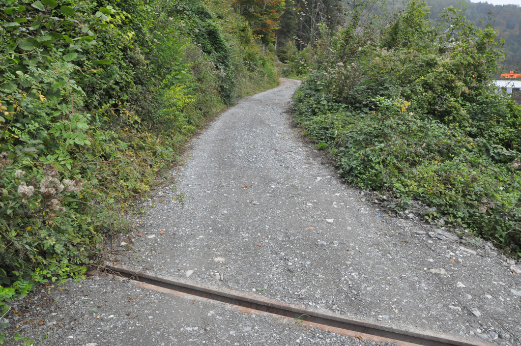 DSC_0088.JPG