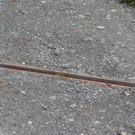 DSC_9415.JPG