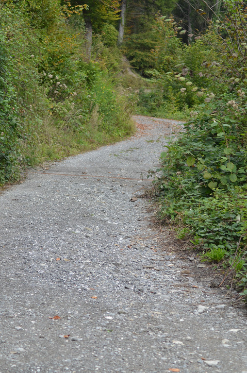 DSC_9417.JPG