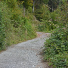 DSC_9417.JPG