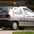normal_260709hageldanachpd_07.jpg