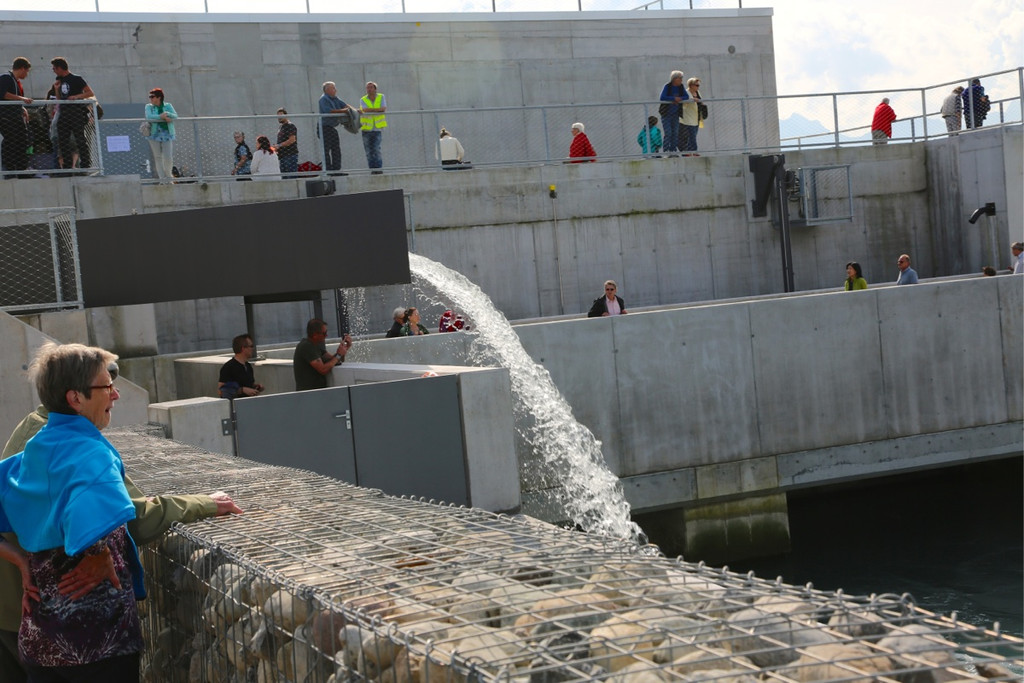 KOE_Eroeffnung Illspitzkraftwerk 89.jpg