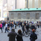 Das war die Tiersegnung 2014 am Wiener Stephansplatz