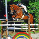 Reitturniertage