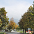 DSC_0061.JPG