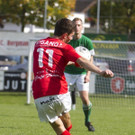 file6hcatwonr2fs2f8ws8.jpg