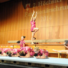 Ehrenamt Ho__chst 03-10-2014 31.jpg