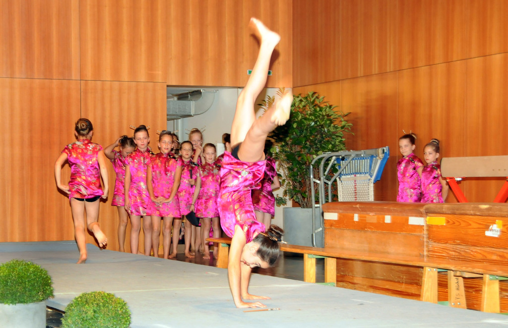 Ehrenamt Ho__chst 03-10-2014 74.jpg