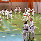 Bilder von der 30 Jahr Feier des Karateclubs Götzis