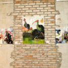 DSCN2996.JPG