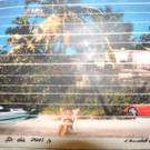 DSCN3010.JPG