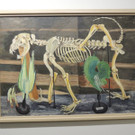 DSCN2978.JPG