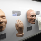 Neues Bestattungsmuseum in Wien eröffnet