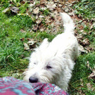 Seppi7_28229.JPG