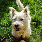 Seppi7_28629.JPG