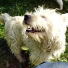 Seppi7_28929.JPG