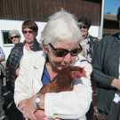 H__hner zum Angreifen.jpg