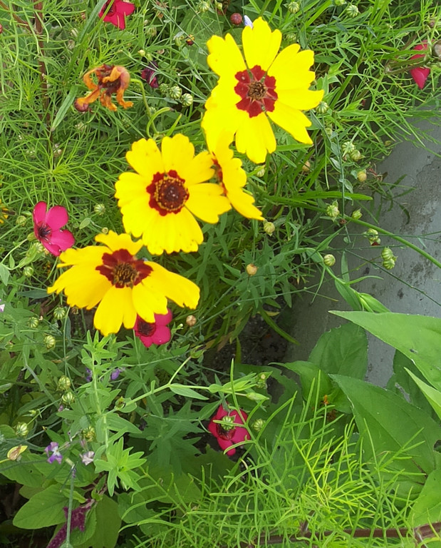 20141007_142439.jpg