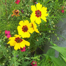 20141007_142439.jpg
