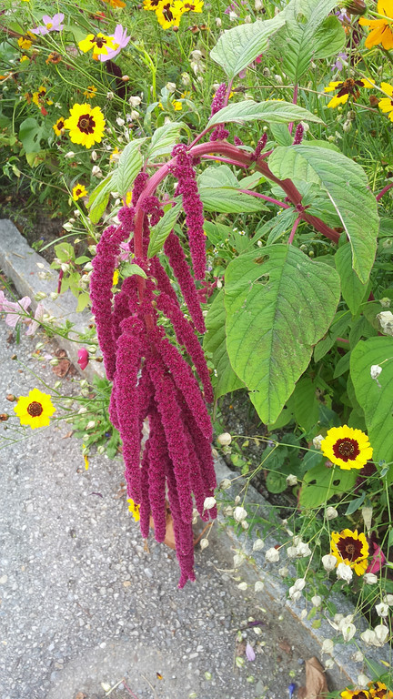 20141007_142449.jpg