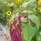 20141007_142449.jpg