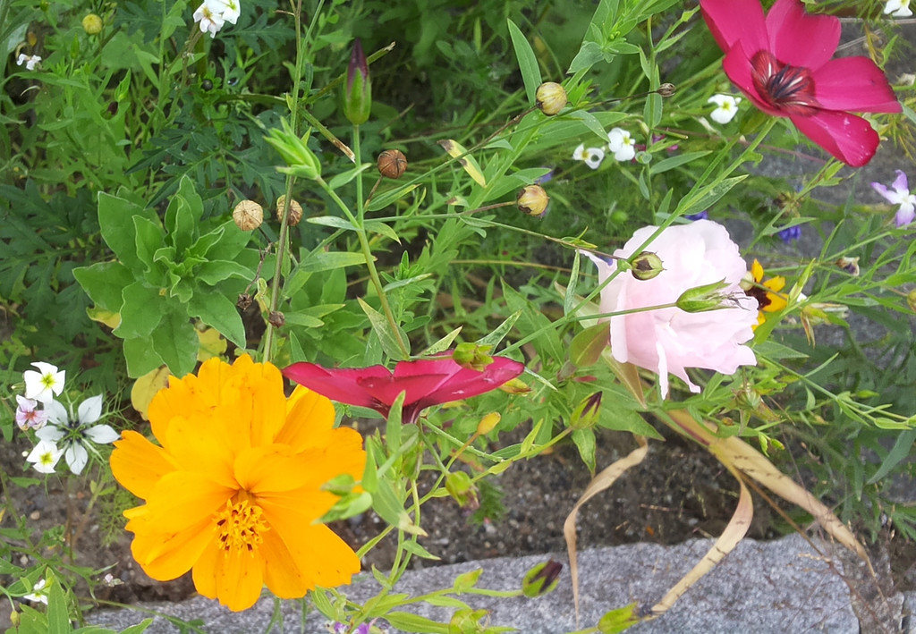 20141007_142505.jpg