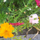 20141007_142505.jpg