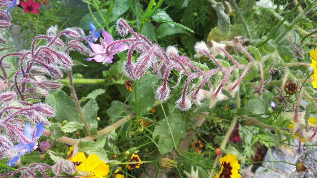 20141007_144022.jpg