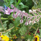 20141007_144022.jpg
