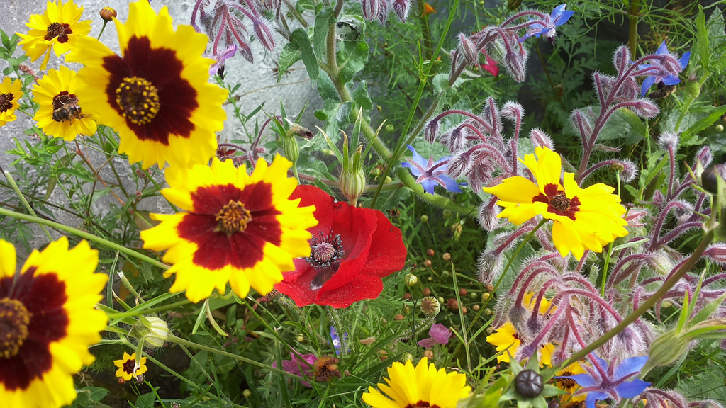 20141007_144034.jpg