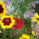 20141007_144034.jpg